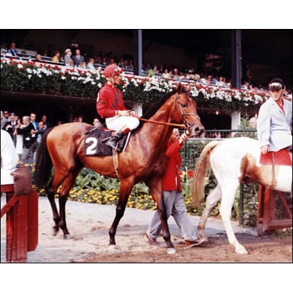Yesterday and Today: Opening Week at Saratoga