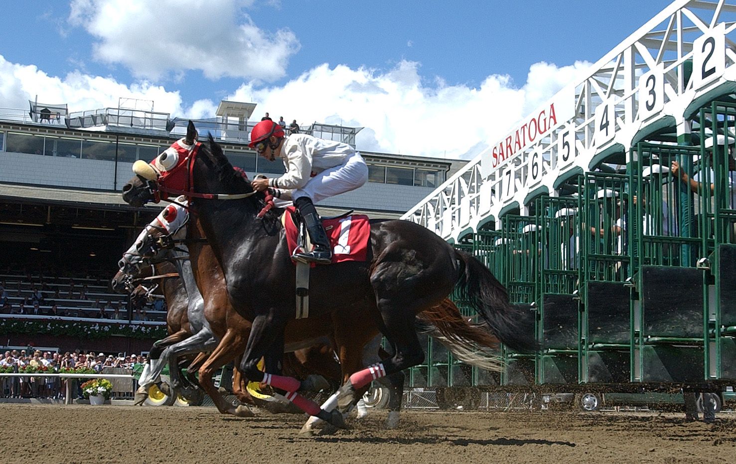 LIVE Travers Stakes 2026 horse racing news, odds, picks, results and more