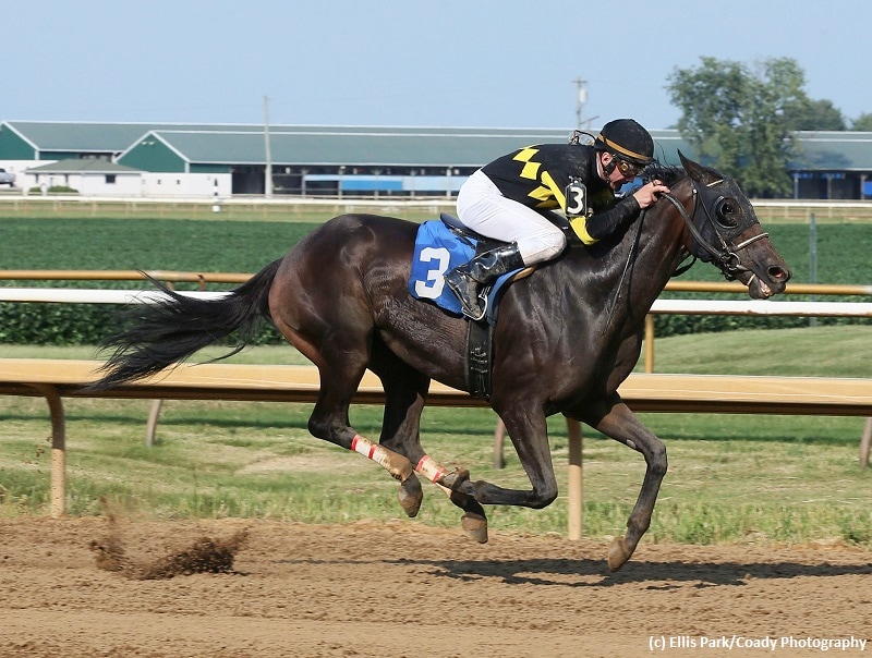 Champagne Problems pulls off for Groupie Doll victory