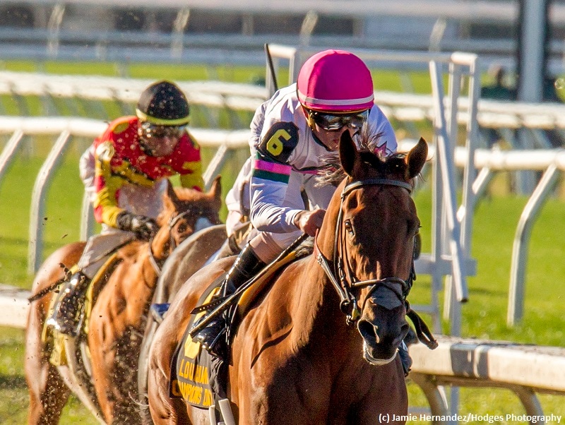 Competitive Test on tap for Whitney undercard