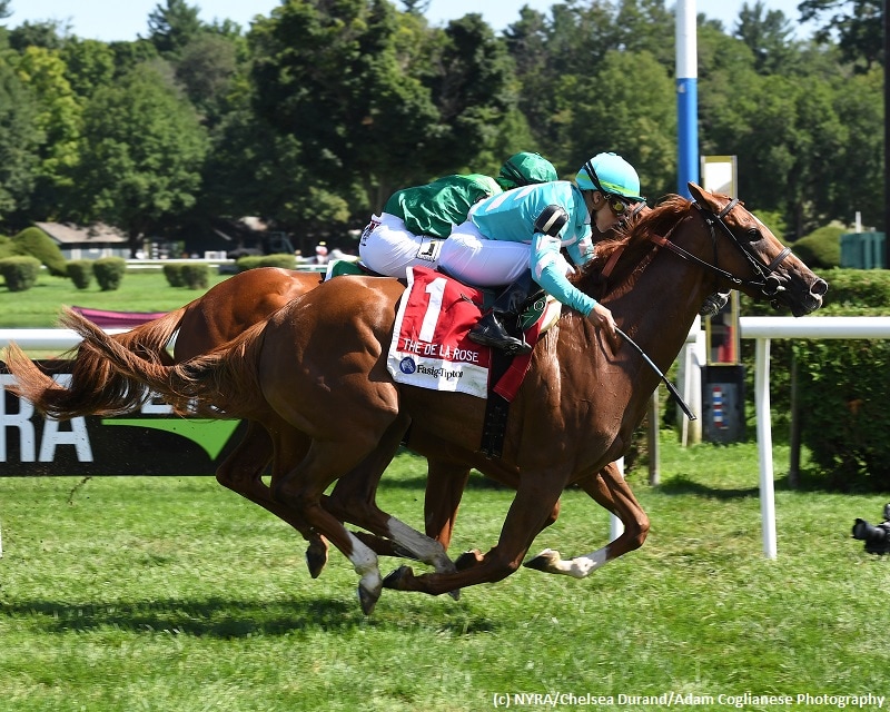 Uni nabs stablemate Precieuse in De La Rose