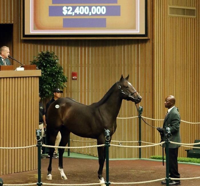 War Front stars with $2.4 million colt, $1.75 million filly at Keeneland September