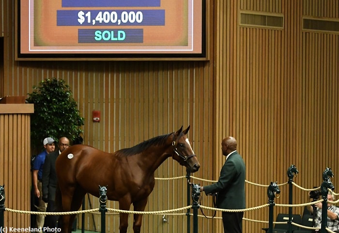 American Pharoah colt brings $1.4 million on Day 3 of Keeneland September