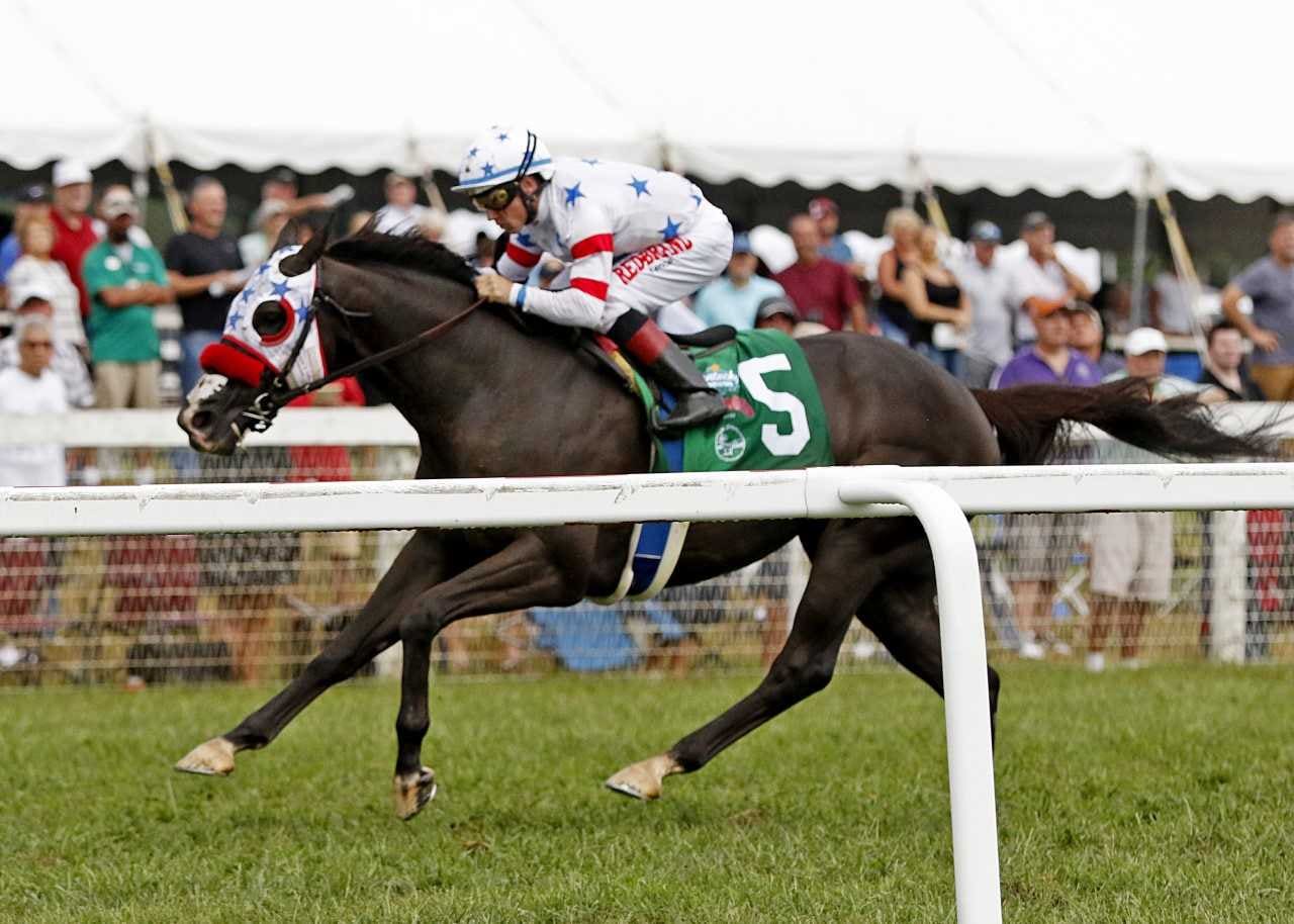 Next Shares earns stakes breakthrough in Old Friends
