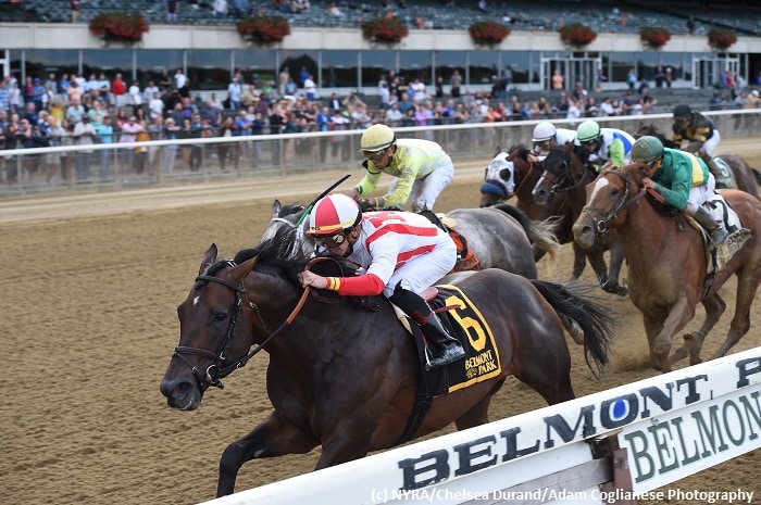 Patternrecognition wires Kelso, Uni dominant in Noble Damsel on banner day for Brown
