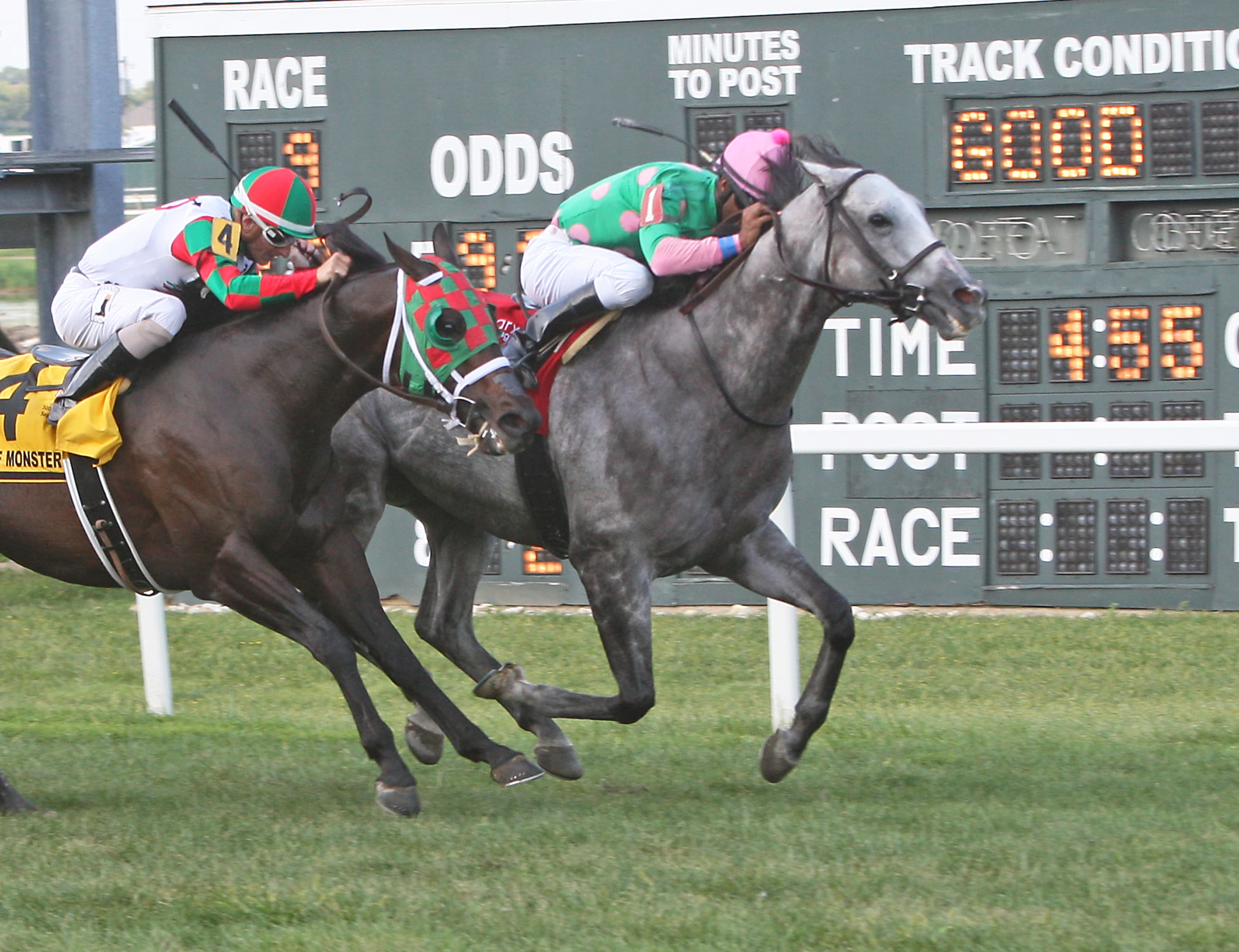 Pure Sensation guts out third Turf Monster success