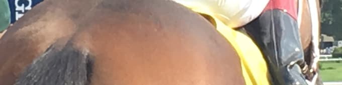 ‘This one is for Brian’ – Takecharge Mirella scores ‘special’ Saratoga maiden win