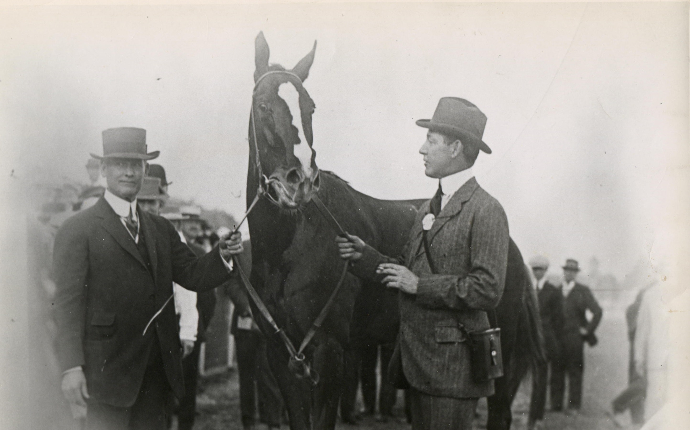 Who were the top racehorses during the 1916 World Series?
