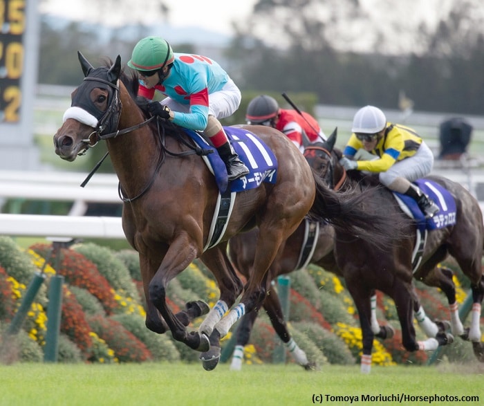 Almond Eye sensational again in Shuka Sho for Japanese Fillies’ Triple Crown sweep