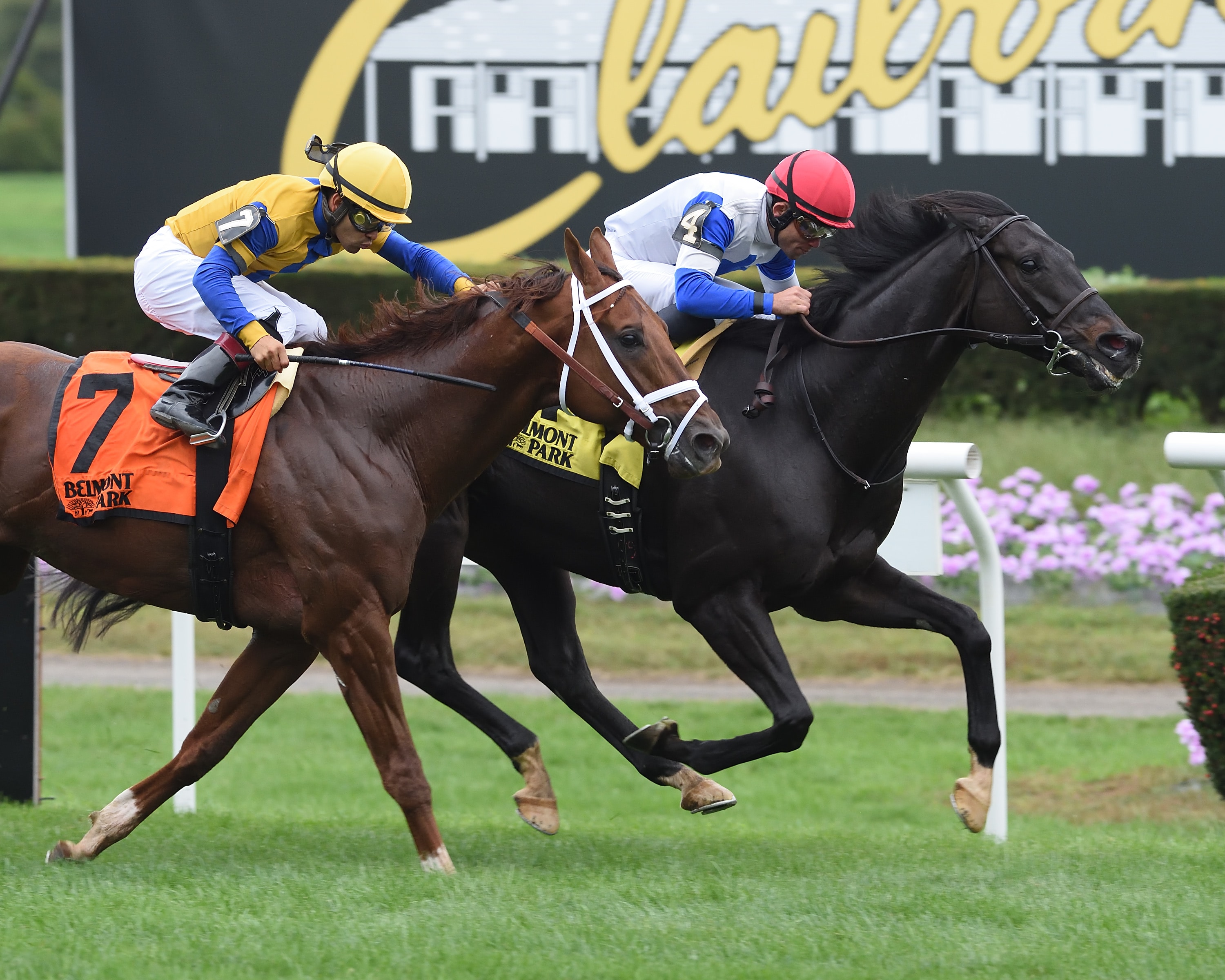 Blacktype fends off Hi Happy in Knickerbocker title defense