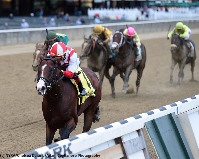 Breeders’ Cup implications: New York prep races