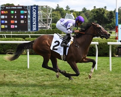 Jessamine, WAYI for BC Juvenile Fillies Turf, attracts full field