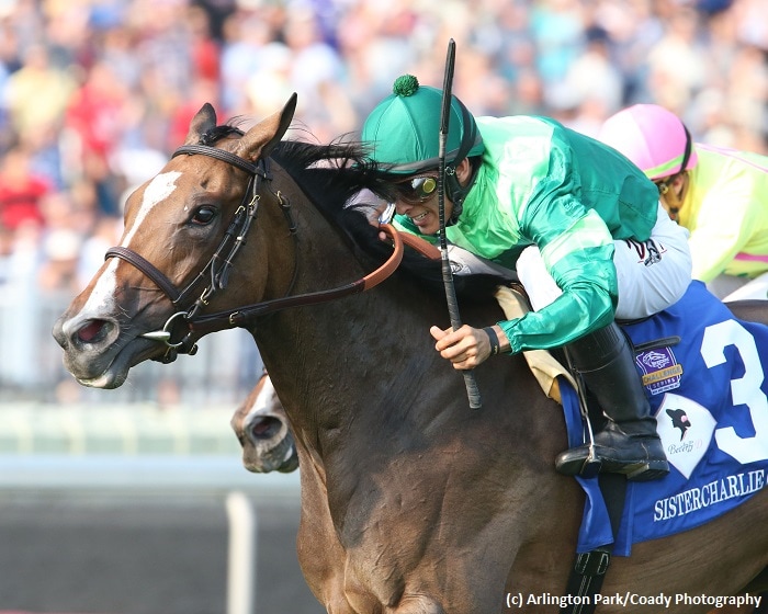 Sistercharlie seeks historic Beverly D. repeat at Arlington