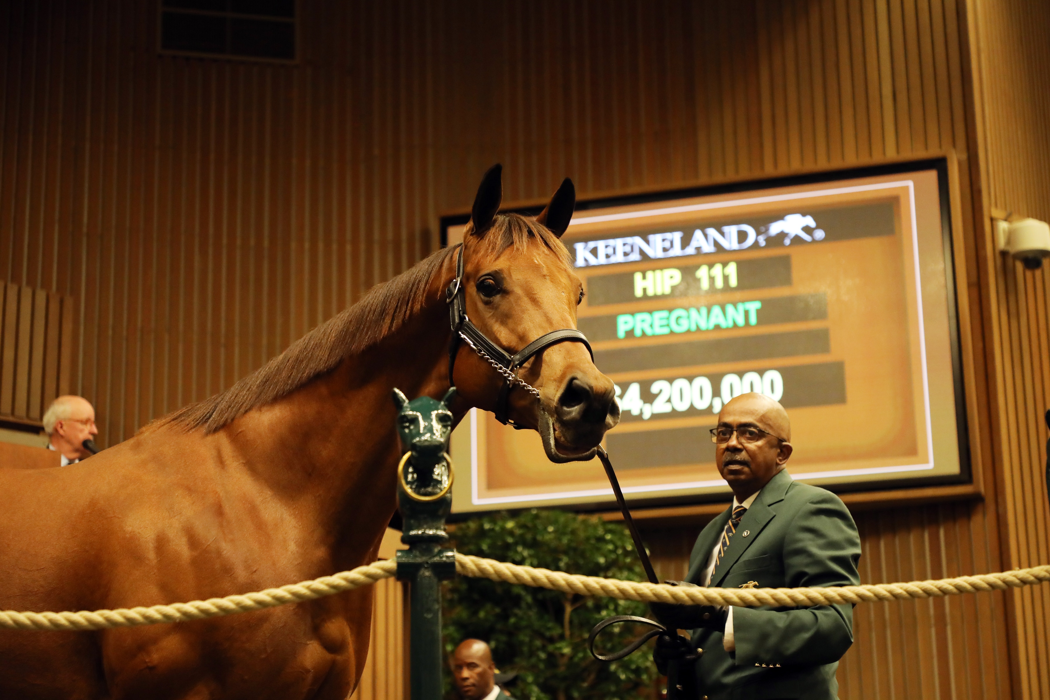 Lady Eli sells to Hill ‘n’ Dale for $4.2 million at Keeneland November opener
