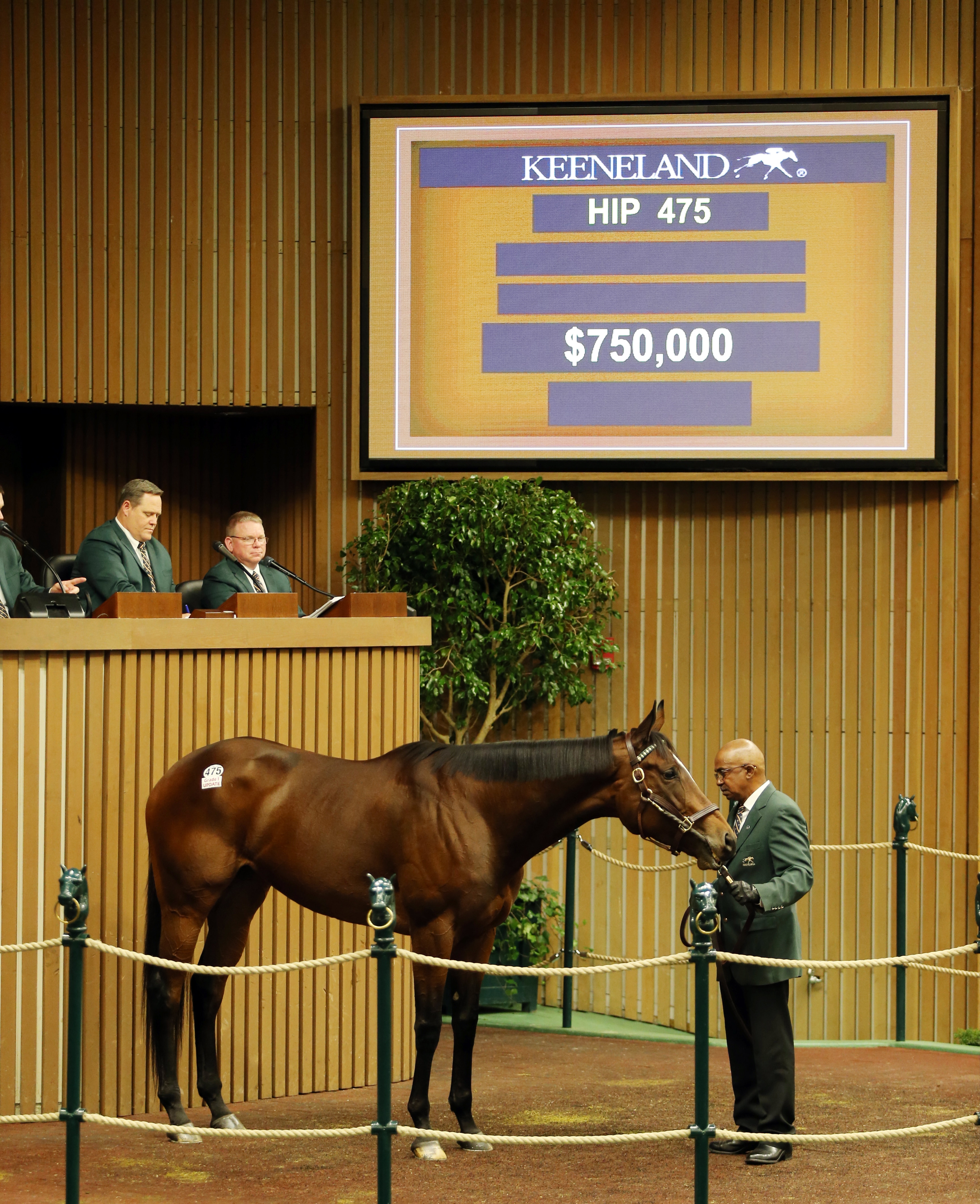 Marquee Miss brings $750,000 at Keeneland November