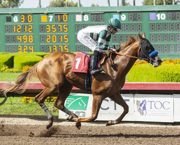 Mucho Gusto, Metropol solid threats for Baffert in Bob Hope