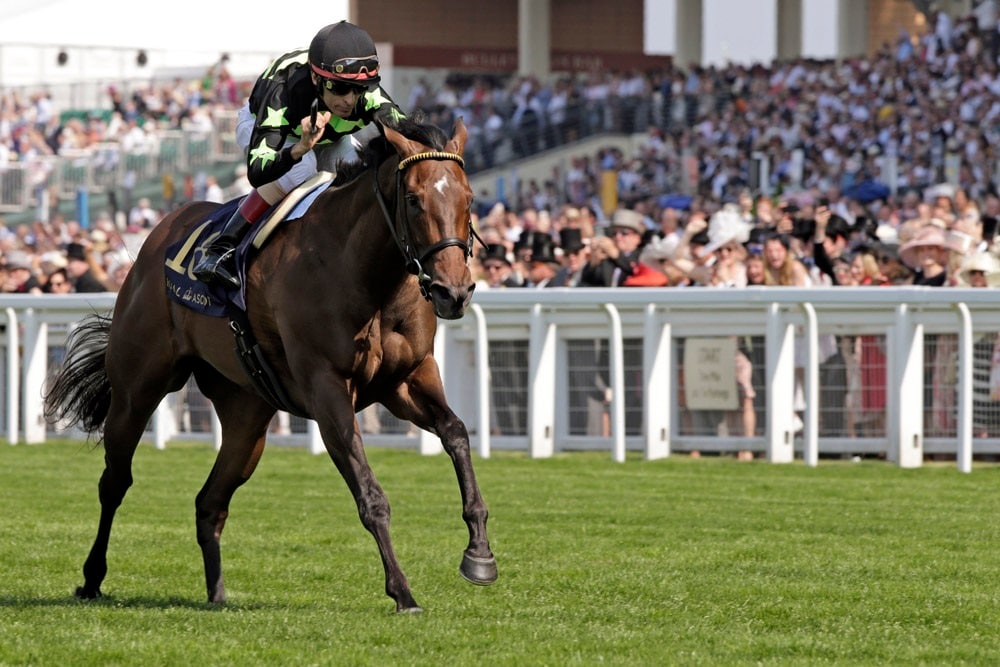 Fasig-Tipton topper Lady Aurelia goes home to Stonestreet for $7.5 million