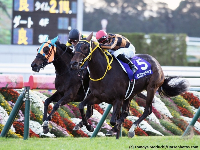 Field of 17 draws into Kyoto’s Queen Elizabeth II Cup
