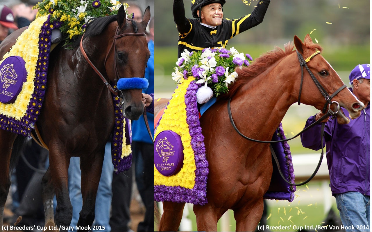American Pharoah’s first crop: Wish Way works bullet; next batch of named two-year-olds