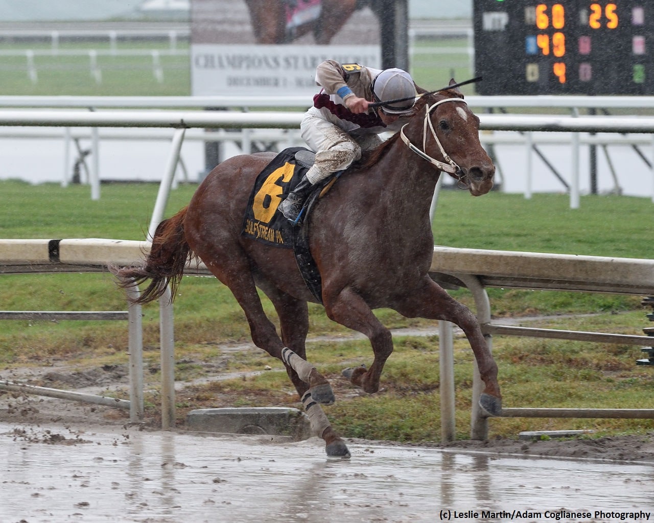 Sir Anthony rallies to upset Audible in Harlan’s Holiday