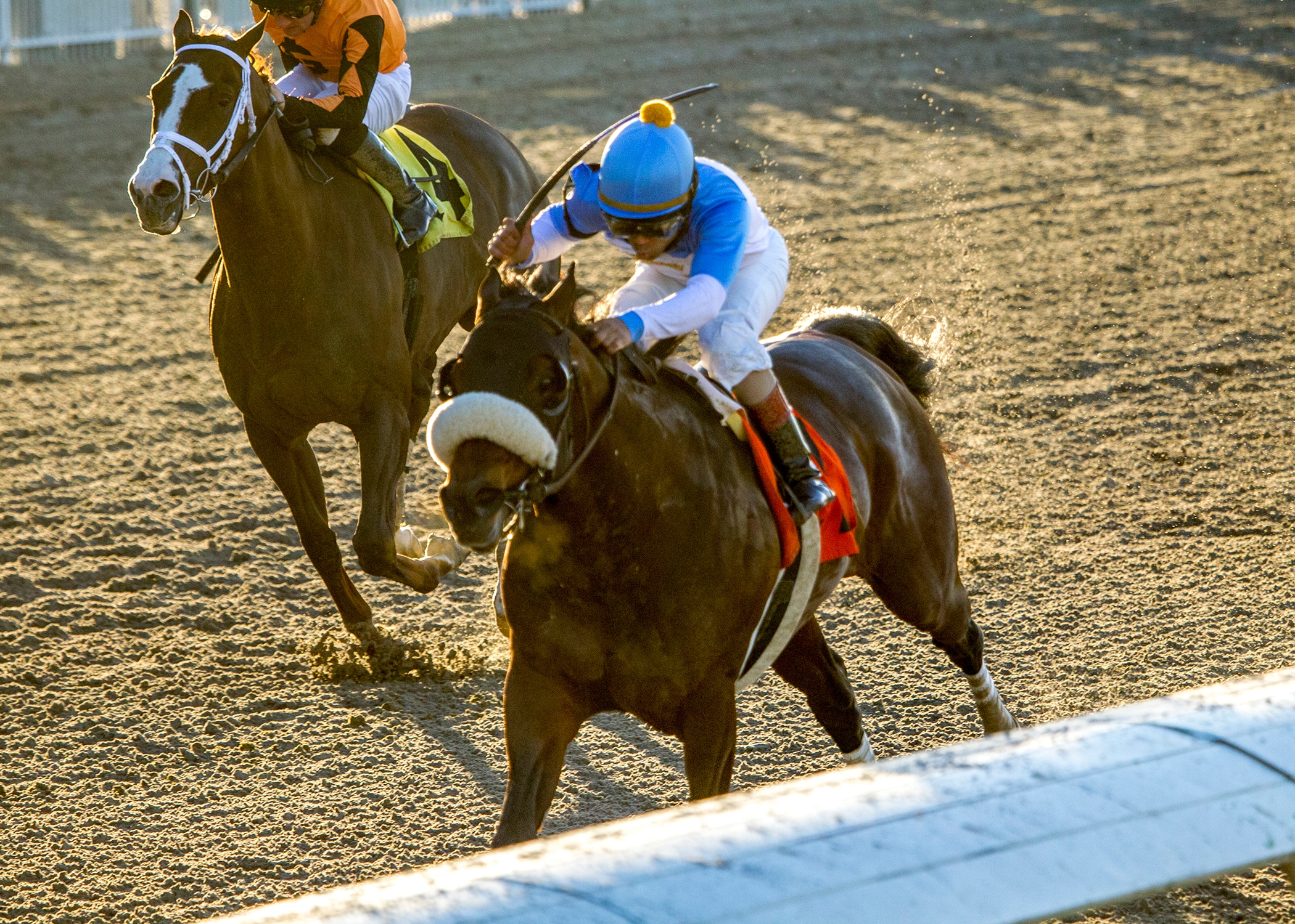 Tom's d'Etat captures stakes debut in Tenacious