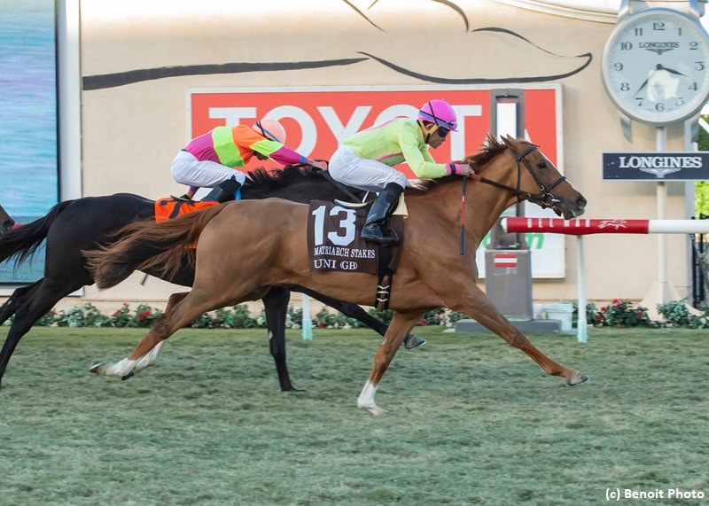 Got Stormy, Uni take on males in Fourstardave; Green Light Go meets seven in Special