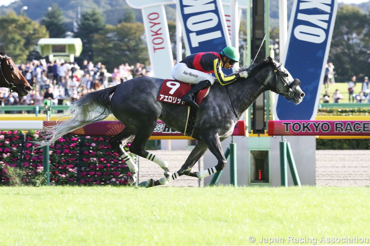 $7 million Pegasus World Cup Turf attracts field of 10