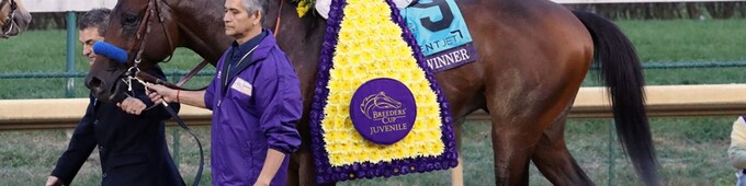 Game Winner – 2018 Champion Two-Year-Old Male