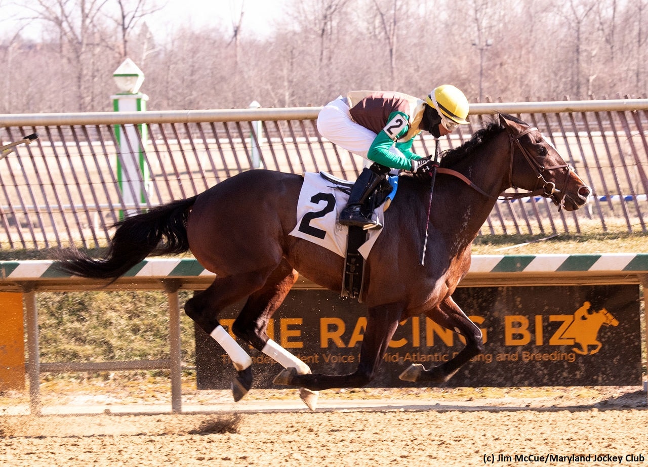 Preakness Report: Derby follow-up, big names skipping Baltimore