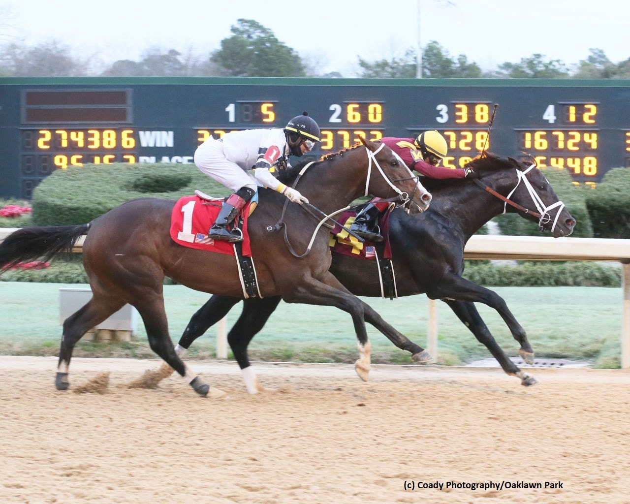 Coal Front stays the distance in Razorback; She’s a Julie shows speed in Bayakoa