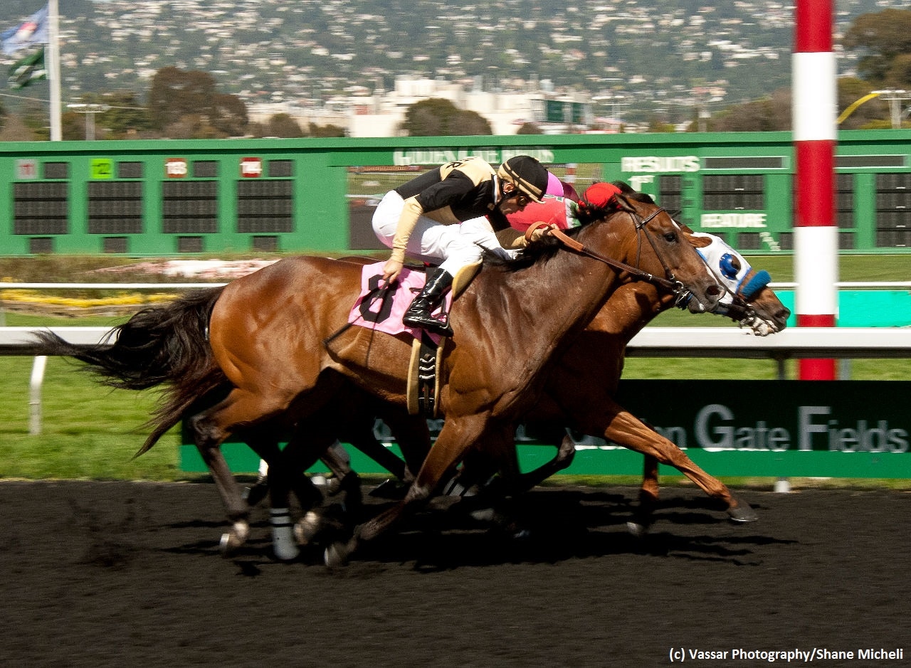 Baker's dozen will do battle in El Camino Real Derby