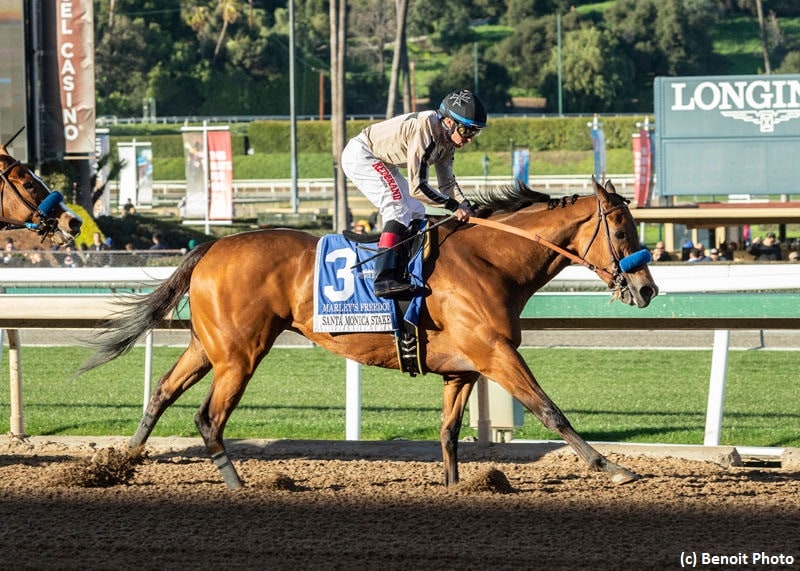 Marley’s Freedom asserts class in Santa Monica