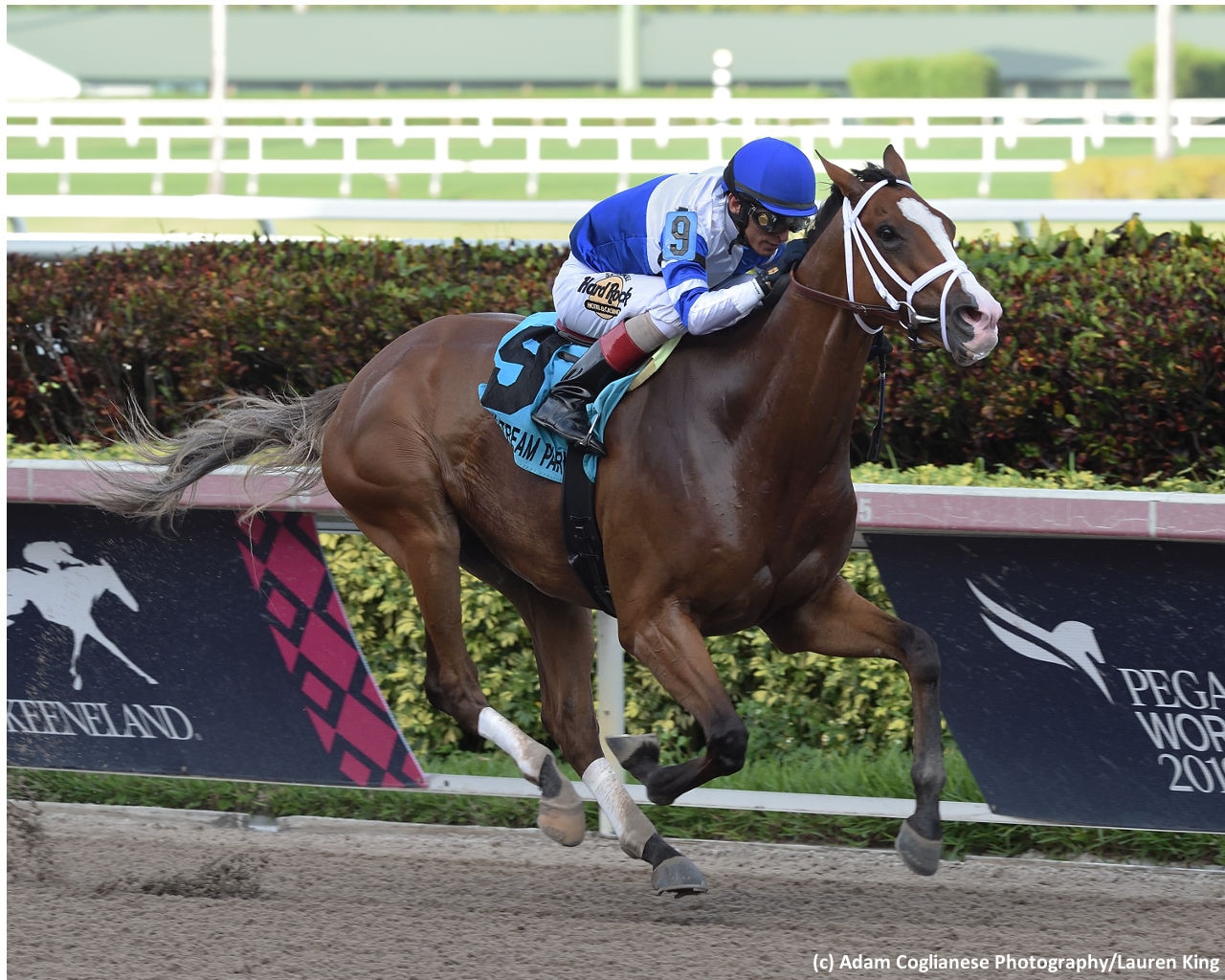 Prince Lucky returns with a flourish in Hal’s Hope