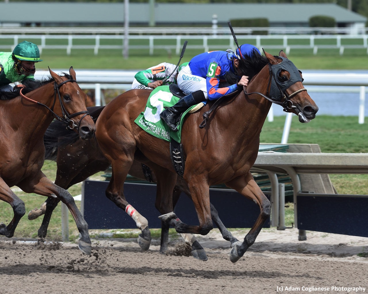 Champagne Anyone sparkles in Gulfstream Park Oaks