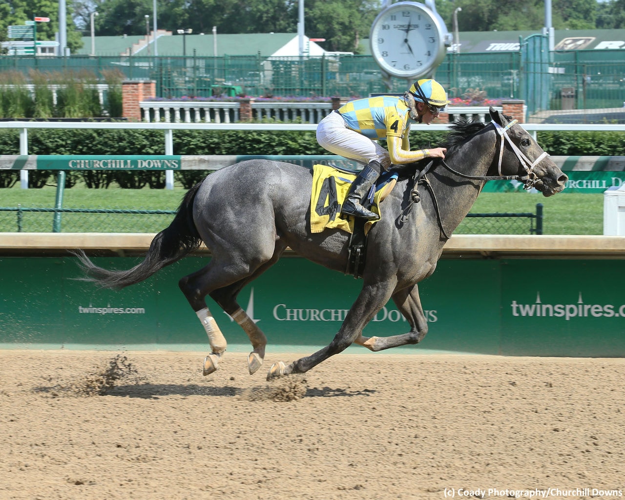 Third stakes try might be the charm for Dream Maker in Tampa Bay Derby