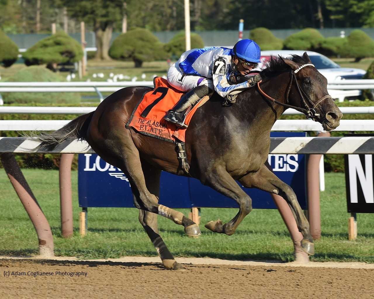 Elate returns in salty Azeri