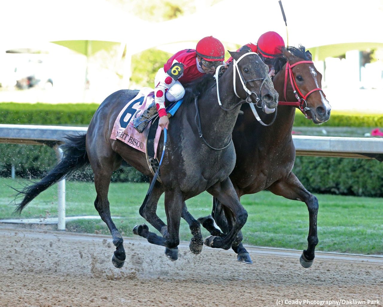 Midnight Bisou thwarts Escape in Apple Blossom dogfight