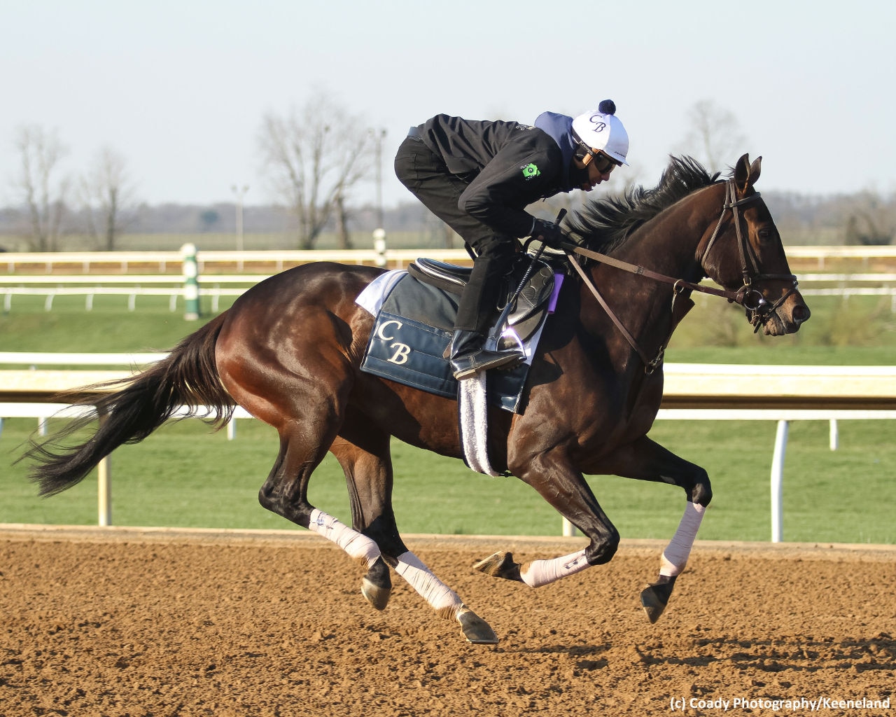 Rushing Fall faces elders for the first time in Jenny Wiley