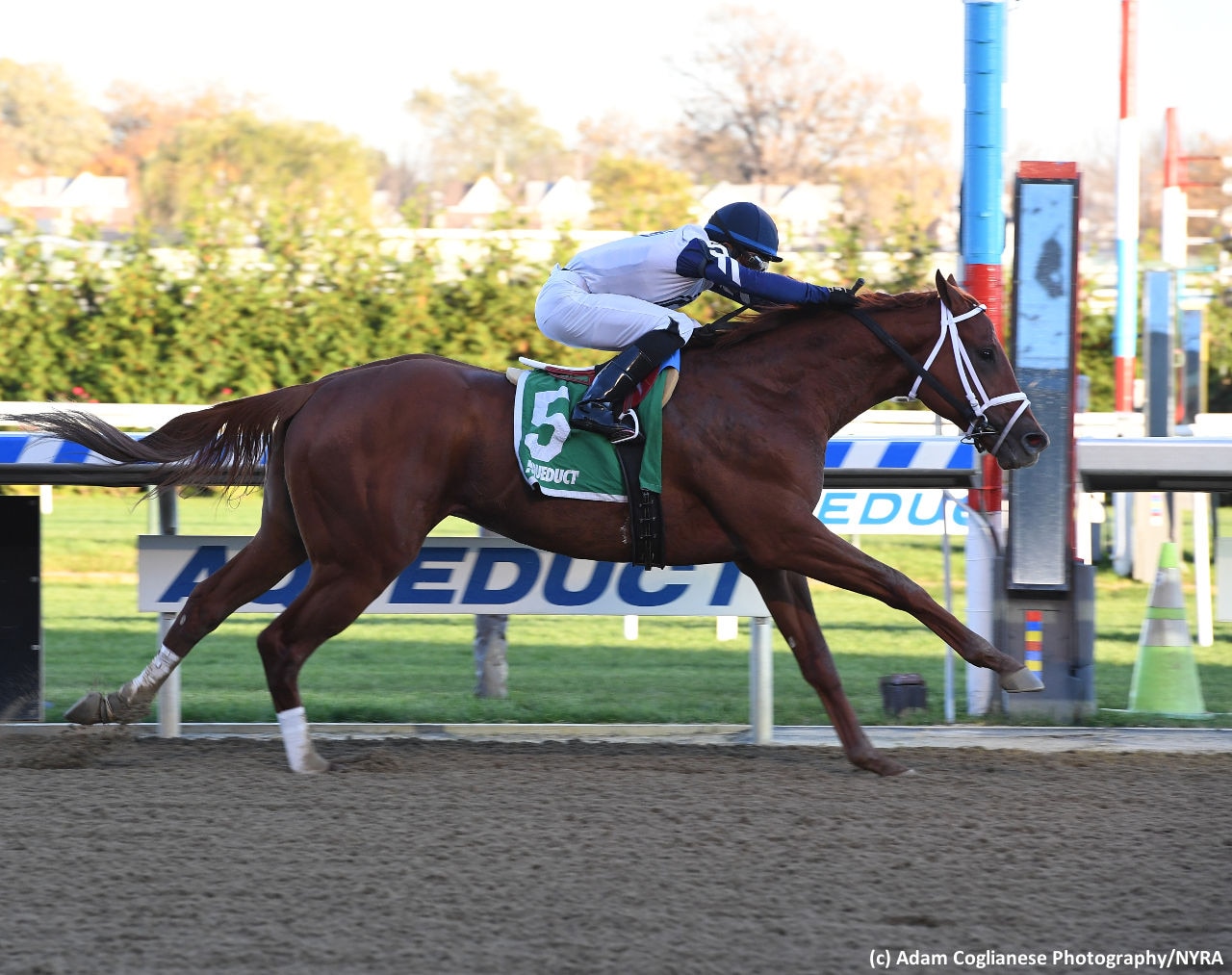 Vekoma, Win Win Win top contenders in 14-horse Blue Grass