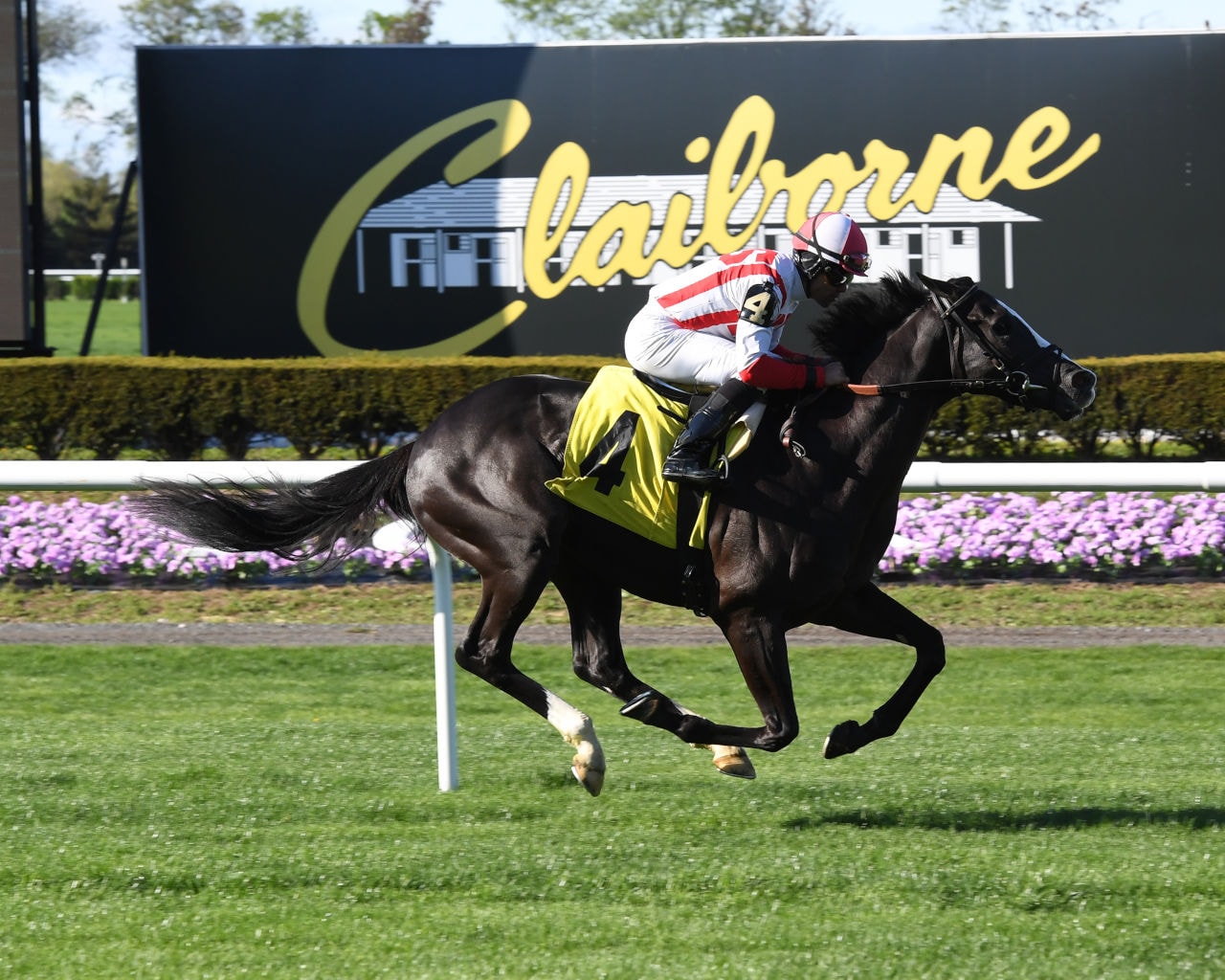 Maiden winner Value Proposition steps up in Pennine Ridge