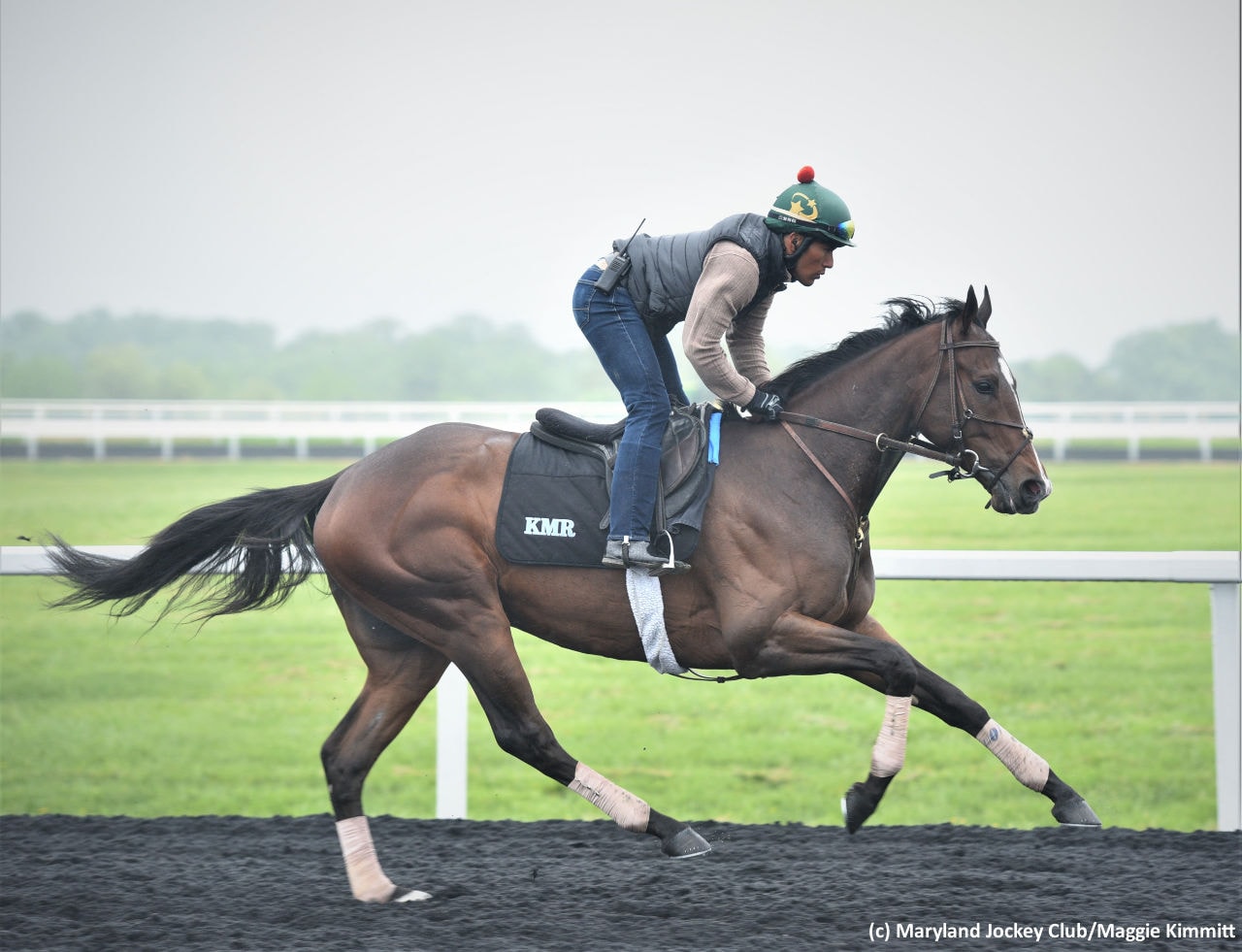 Preakness Report: Final analysis and selections