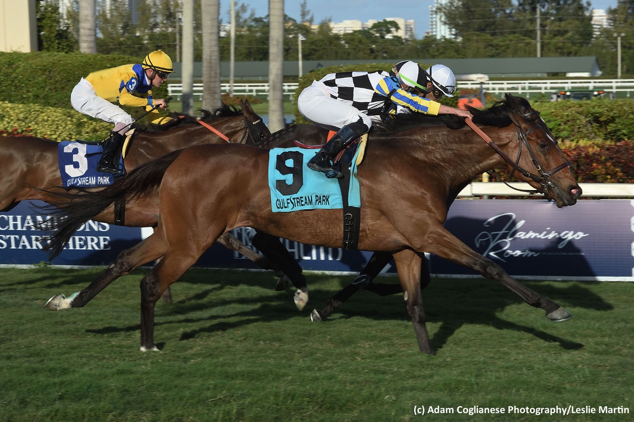 Santa Monica’s Sheepshead Bay score highlights Belmont card