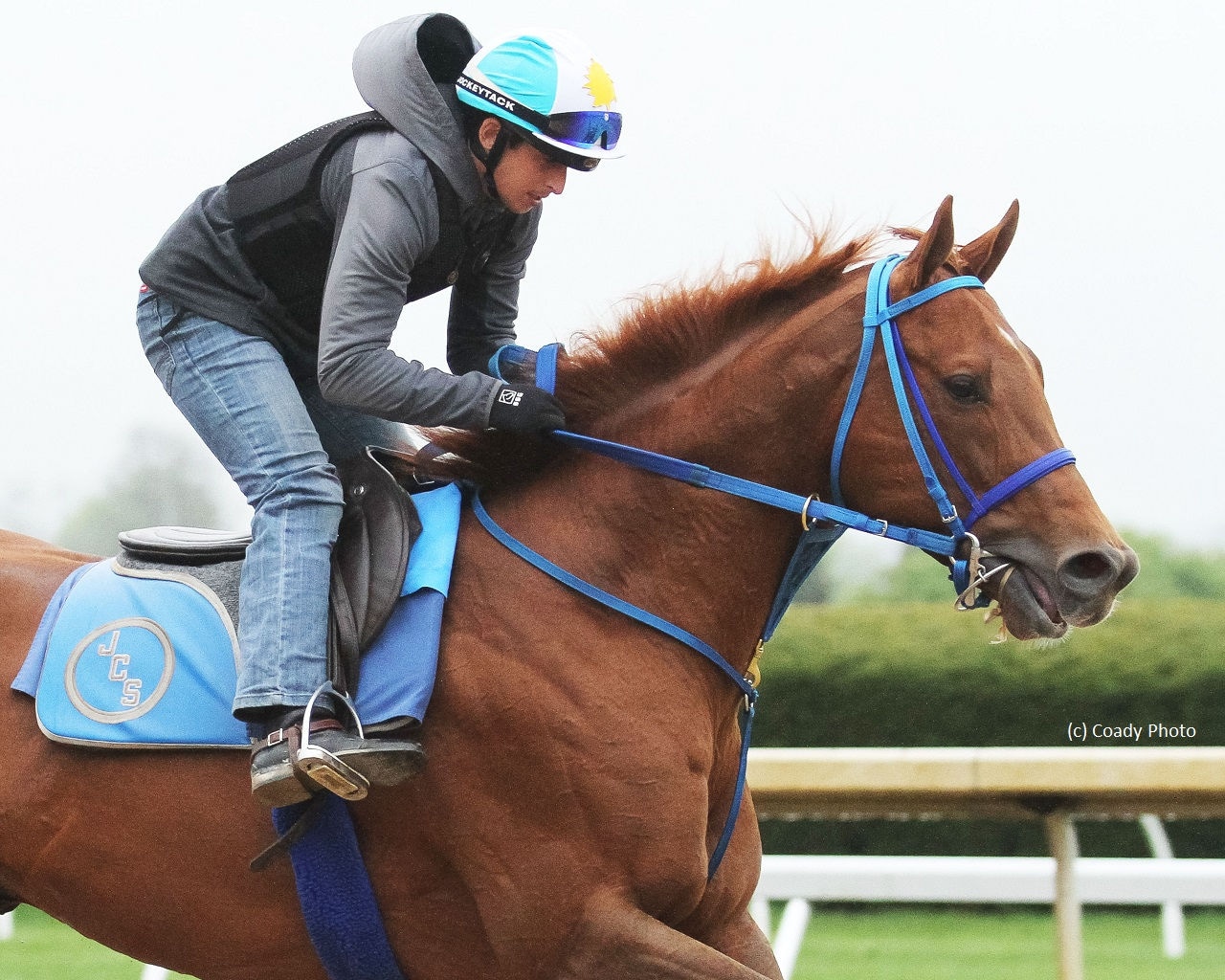 King for a Day back for Sir Barton; Wentz tries graded company in Maryland Sprint