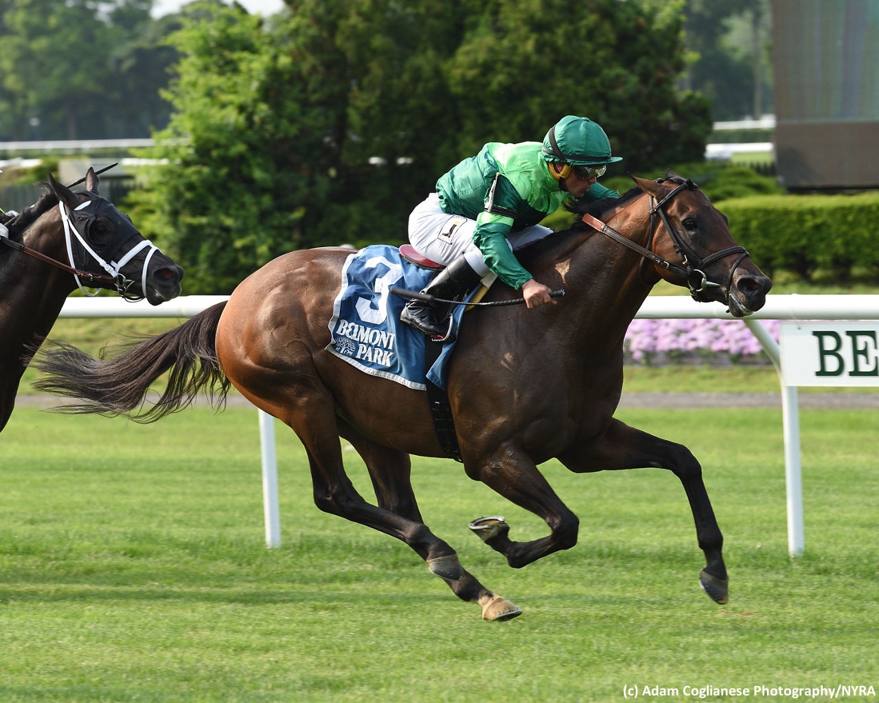 Demarchelier punches Belmont Derby ticket in Pennine Ridge