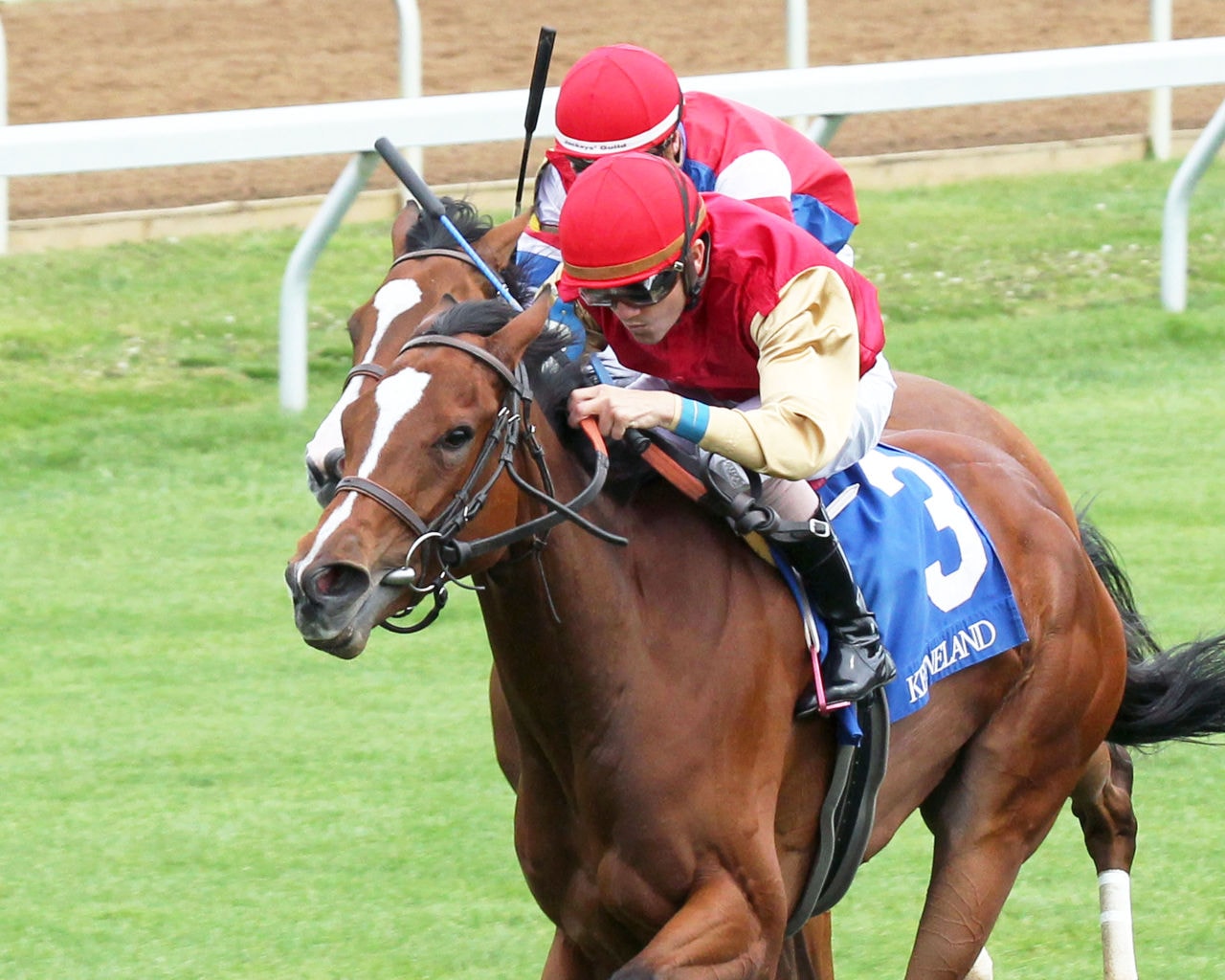 Desert Ride aiming to score a hat trick for fillies in this week's Queen's Plate