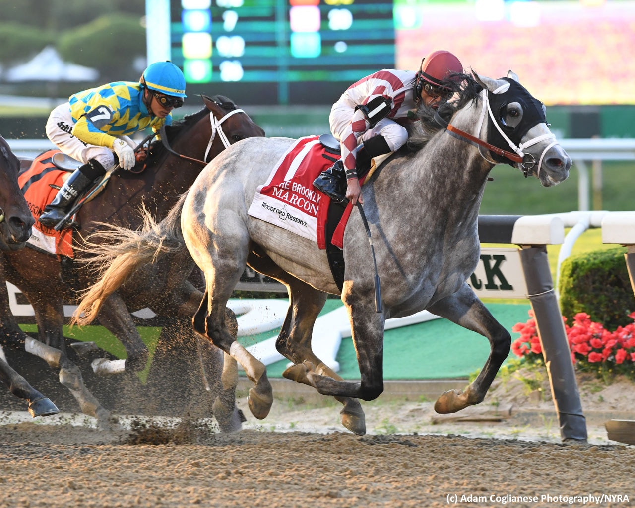 Marconi wires Brooklyn to wrap up 2019 Belmont Stakes Festival