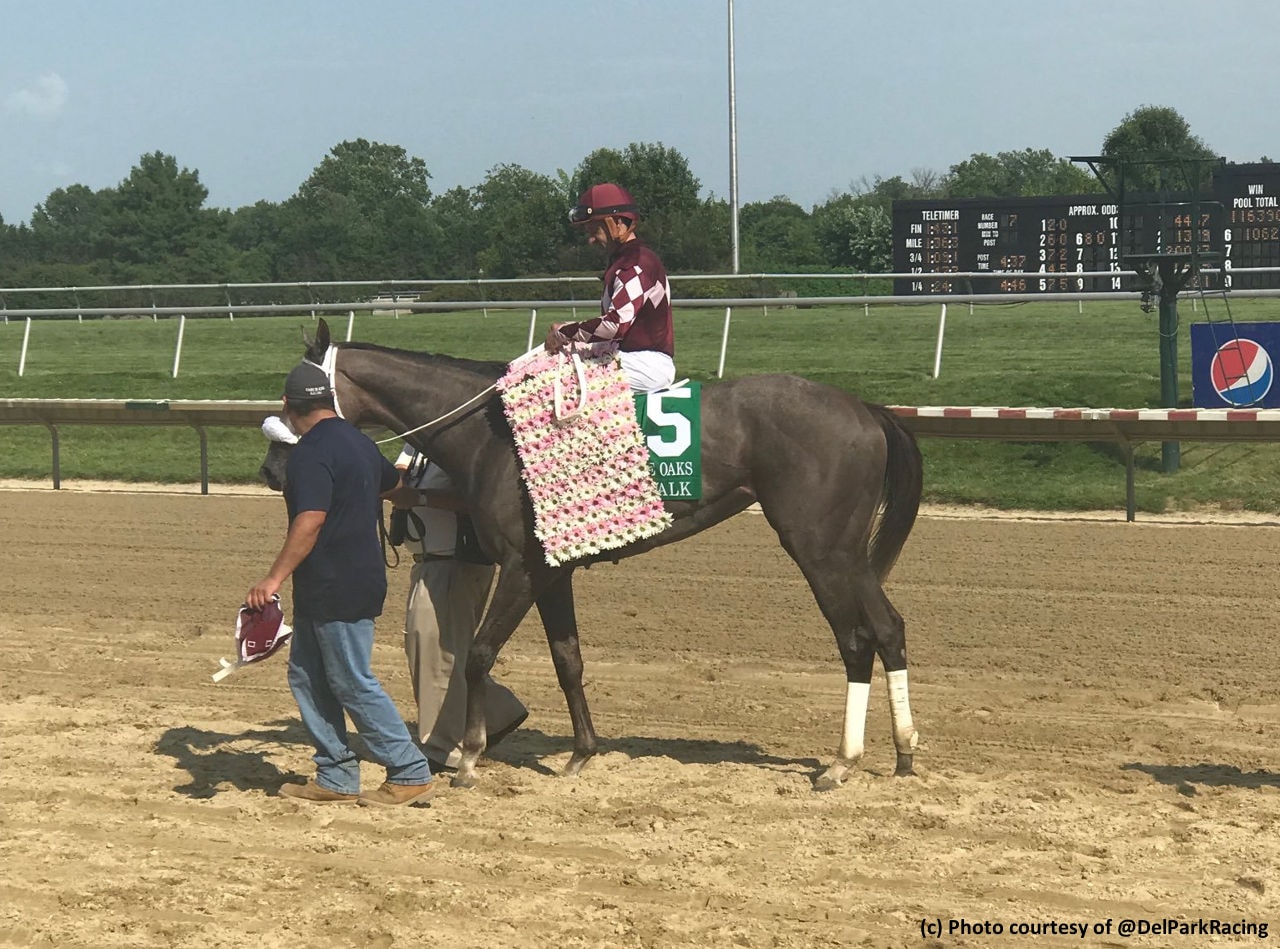 Jaywalk, Eons, Gentle Ruler shine at Delaware Park