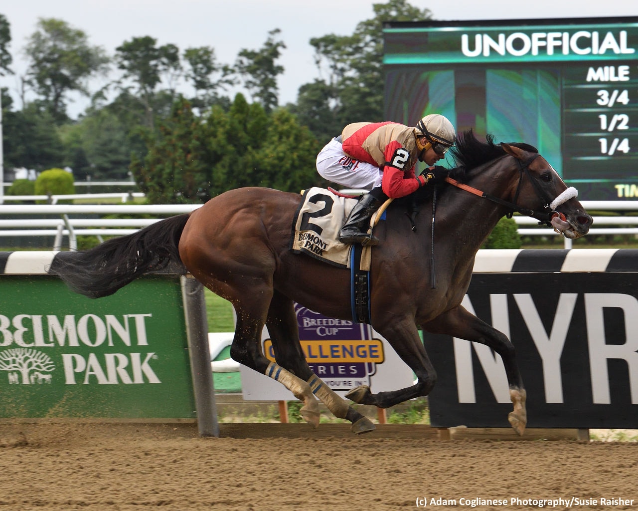 Preservationist romps to stakes debut win in Suburban