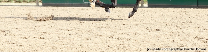 Horse-by-horse guide for Churchill Downs juvenile racing on November 22