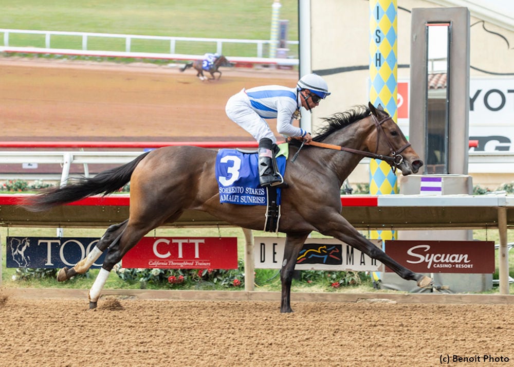 Amalfi Sunrise flashes star potential in Sorrento
